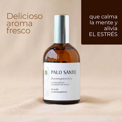 PALO SANTO: Respira profundo y obtén calma. Revitaliza tus espacios 😇